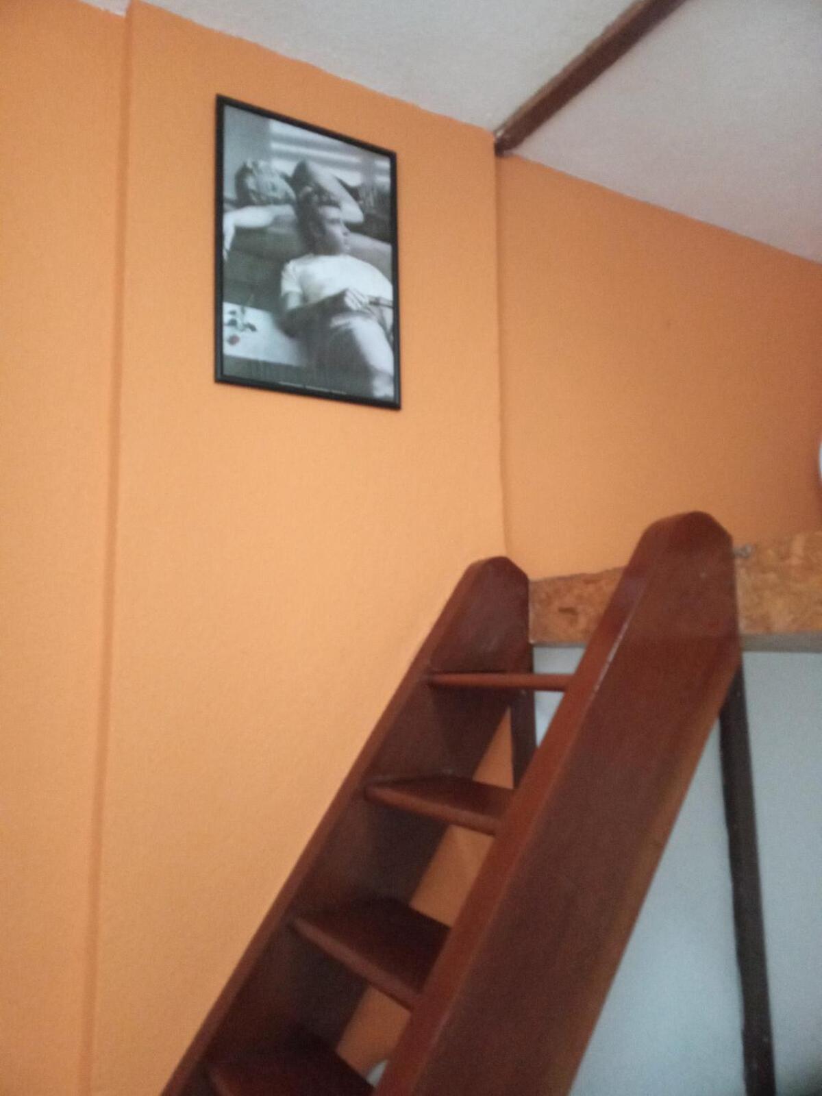 Loft Tangerine *